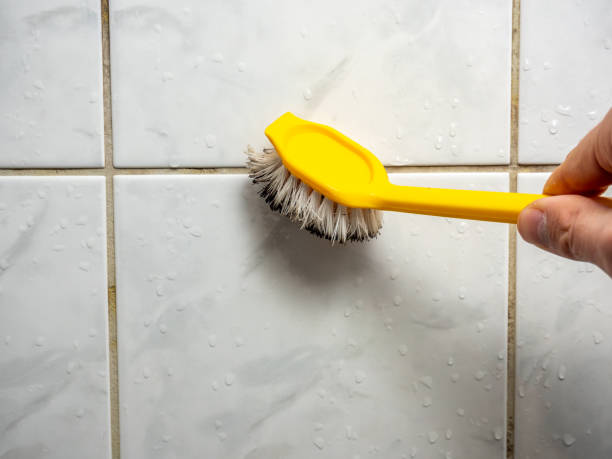 Willow Oak, FL Mold Removal Company