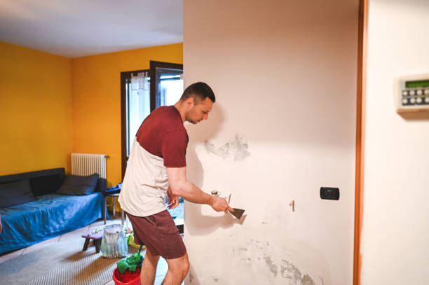 Best Attic Mold Removal  in Willow Oak, FL